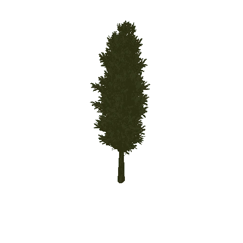 Pine_Tree_1A2