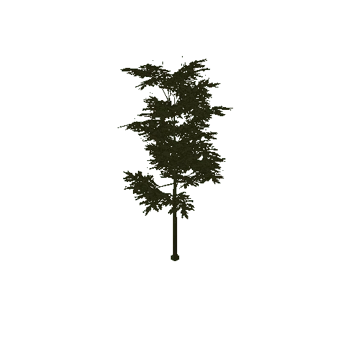 Tree_1A(Paintable)