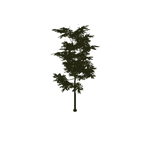 Tree_1A2(Paintable)