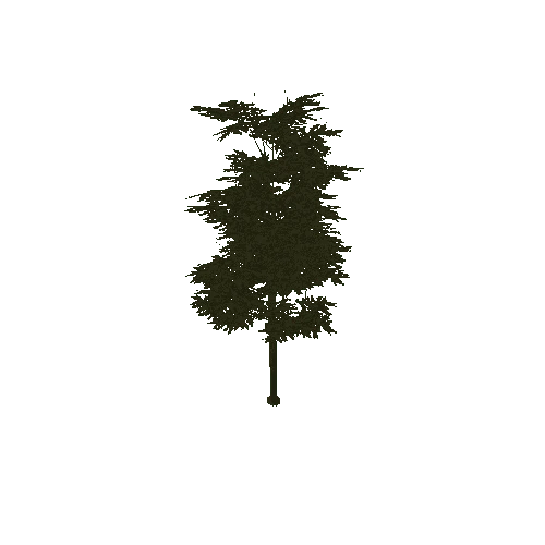 Tree_1A3(Paintable)