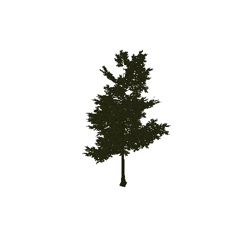 Tree_Forest_1A(Paintable)