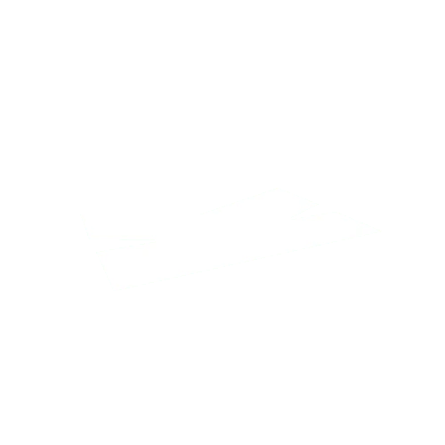 V2_Decal_21_1