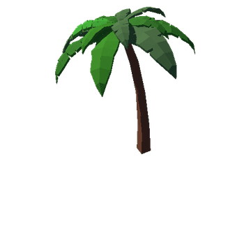 Palm_example3