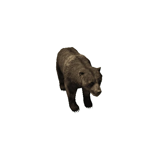 Bear_female_LowPoly