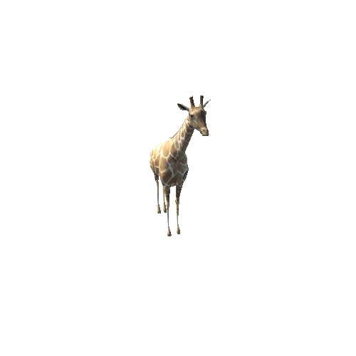 GiraffeModelLowPoly