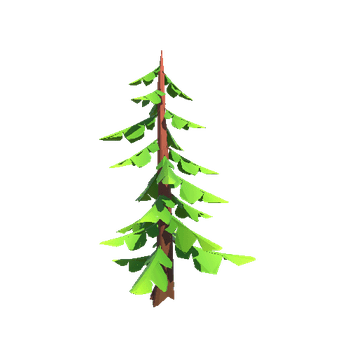 Conifer1_Low