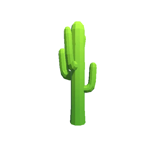 SaguaroCactus2