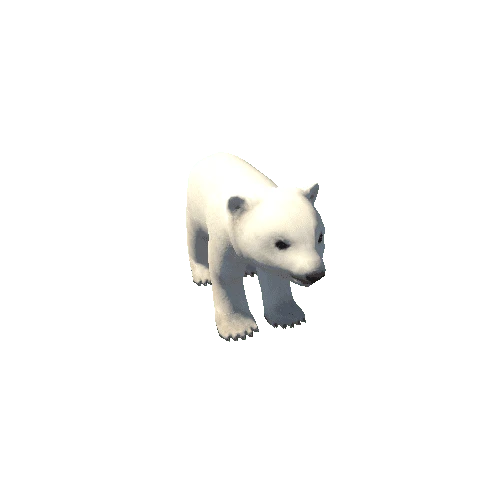 Polarbear