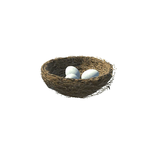 nest