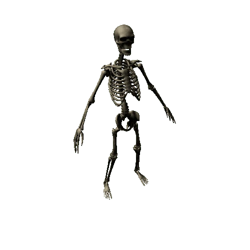 skeleton