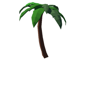 Palm_example6