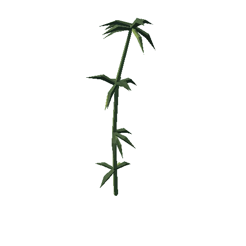 SM_Env_Bamboo_Tree_04