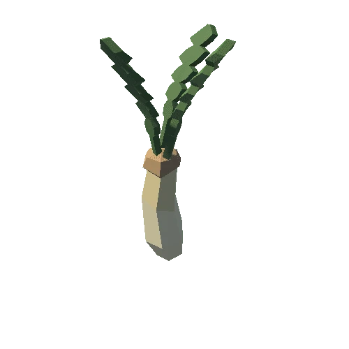 SM_Prop_Vegetables_07