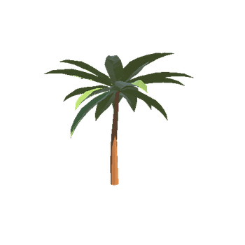 Palm_Tree_1