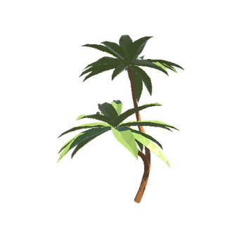 Palm_Tree_2