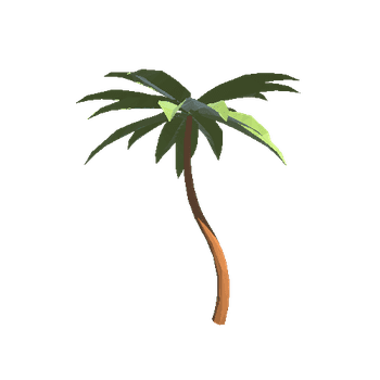 Palm_Tree_5