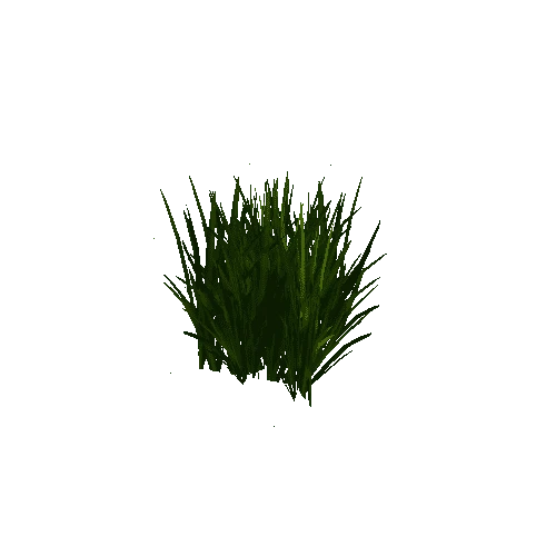 grass1