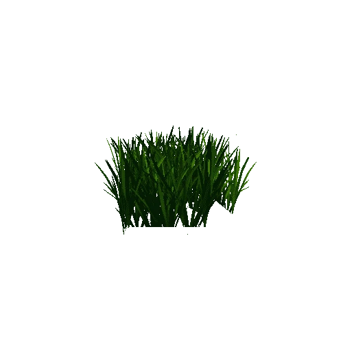 grass1