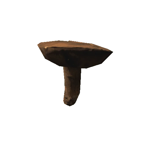 mushroom_005