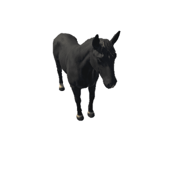 Horse_HighPoly_c2