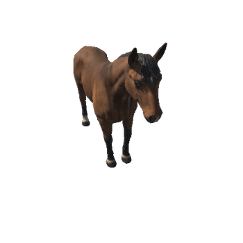 Horse_LOD_c1