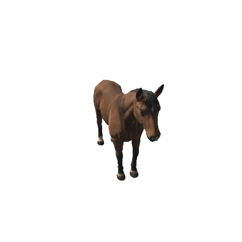 Horse_LOD_c1