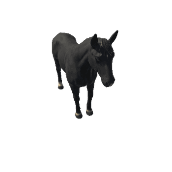 Horse_LOD_c2