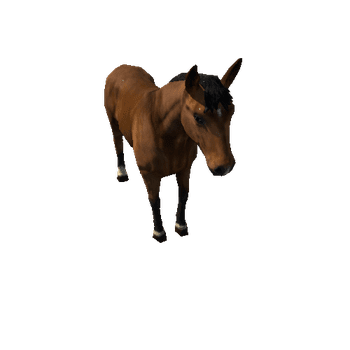 Horse_LowPoly_c1