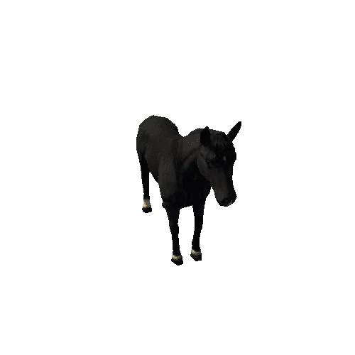 Horse_LowPoly_c2