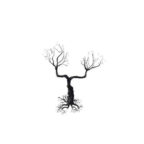 Tree_C