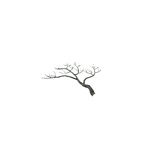 BT_TreeBranch_C