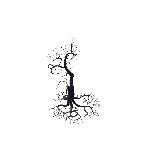 BT_Tree_B