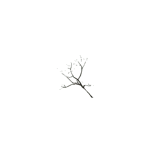 Plane_TreeBranch_C