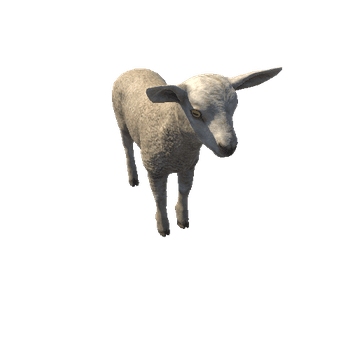 Lamb_HighPoly