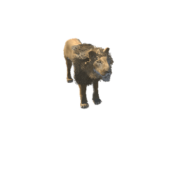 LionModelDoubleSidedLowPoly