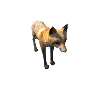 Fox_male_LowPoly_RM