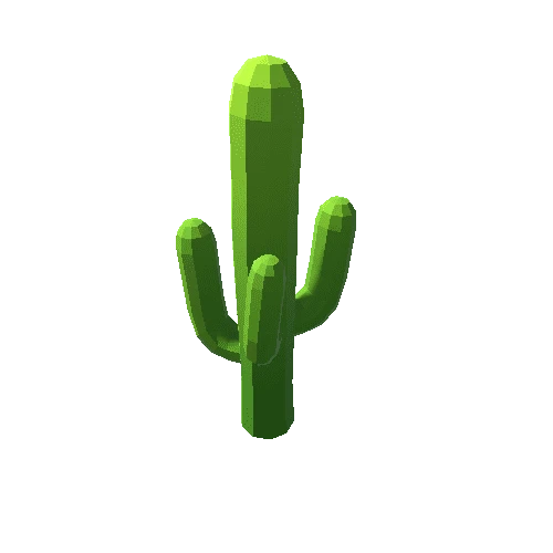 SaguaroCactus1