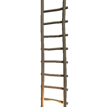 Ladder