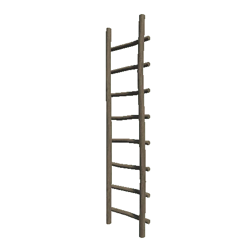 Ladder