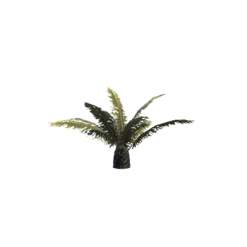 palm-1b