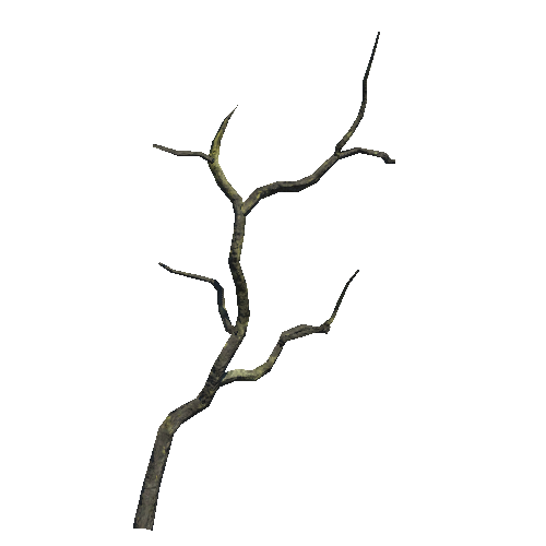 Tree_Small_C