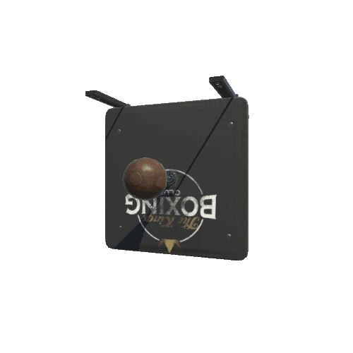 Speed_Bag_1