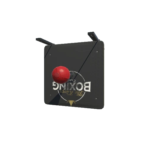 Speed_Bag_2