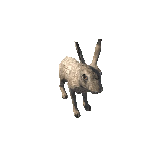 Hare_male_LowPoly_RM