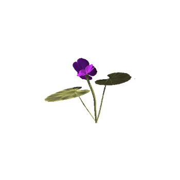 purple_perlagonium_018