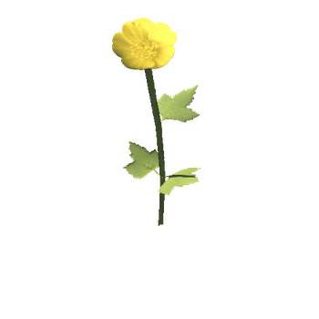 yellow_repensl_02