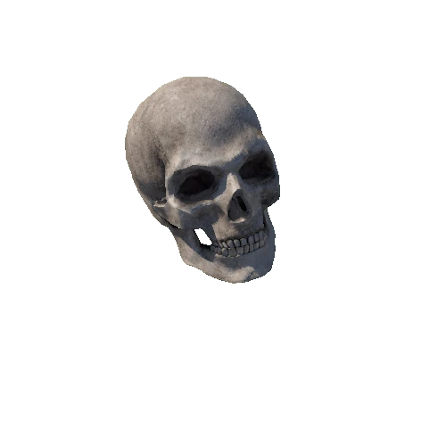 skeletonSkull