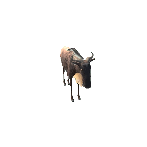 WildebeestModelLowPoly