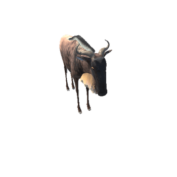 WildebeestModelMiddlePoly