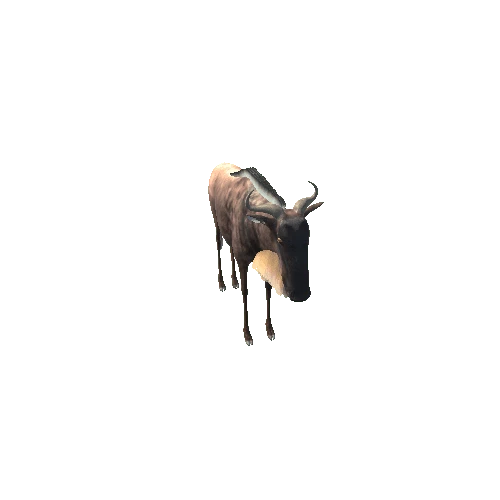 WildebeestModelMiddlePoly